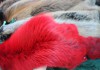 Фото Шкурки красной лисы
