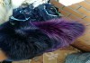 Фото Шкурки фиолетовой лисы